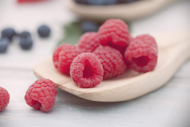 Rubus id. 'Sanibelle' mit Früchten ;;ab 20,40 Euro